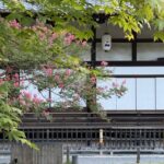 高台寺の百日紅
