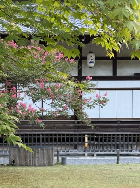 高台寺の百日紅
